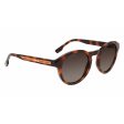 Ladies  Sunglasses Lacoste L952SRG-214 Ø 50 mm Hot on Sale