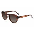 Ladies  Sunglasses Lacoste L952SRG-214 Ø 50 mm Hot on Sale