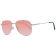 Men s Sunglasses Serengeti Haywood Online