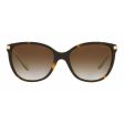 Ladies  Sunglasses Ralph Lauren RA 5160 Supply