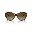 Ladies  Sunglasses Jimmy Choo JC 5007 Discount