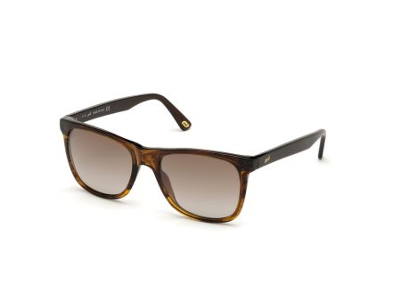 Men s Sunglasses Web Eyewear WE0279-5652G ø 56 mm Online Hot Sale