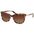 Ladies  Sunglasses Ralph Lauren RA 5203 Online now