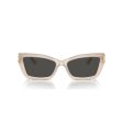 Ladies  Sunglasses Jimmy Choo JC 5011U Sale