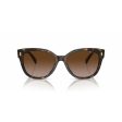 Ladies  Sunglasses Ralph Lauren RA 5305U Online Sale