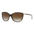 Ladies  Sunglasses Ralph Lauren RA 5160 Supply