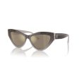 Ladies  Sunglasses Jimmy Choo JC 5004 Online Hot Sale