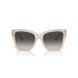 Ladies  Sunglasses Jimmy Choo JC 5012 Discount