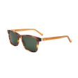 Men s Sunglasses Hackett London HEB205 416 53 17 145 Online