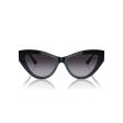 Ladies  Sunglasses Jimmy Choo JC 5004 on Sale