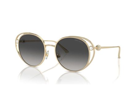 Ladies  Sunglasses Jimmy Choo JC 4003HB on Sale