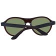 Men s Sunglasses Serengeti SS527004 56 Cheap