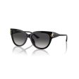 Ladies  Sunglasses Jimmy Choo JC 5018U Online Sale