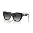 Ladies  Sunglasses Ralph Lauren THE ISABEL RL 8216U For Sale