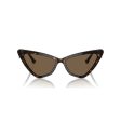 Ladies  Sunglasses Jimmy Choo JC 5008 Online Hot Sale