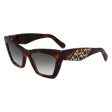 Ladies  Sunglasses Salvatore Ferragamo SF1081SE-214 Ø 55 mm Supply