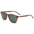 Men s Sunglasses Hackett London HEB251 152 54 15 145 Supply