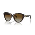 Ladies  Sunglasses Jimmy Choo JC 5007 Discount