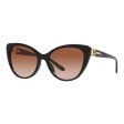 Ladies  Sunglasses Ralph Lauren RL 8215BU For Discount