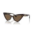 Ladies  Sunglasses Jimmy Choo JC 5008 Online Hot Sale