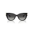 Ladies  Sunglasses Jimmy Choo JC 5018U Online Sale