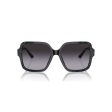 Ladies  Sunglasses Jimmy Choo JC 5005 Cheap