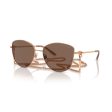 Ladies  Sunglasses Ralph Lauren THE VIVIENNE RL 7079 Fashion