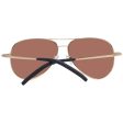 Men s Sunglasses Serengeti 8546 59 Cheap